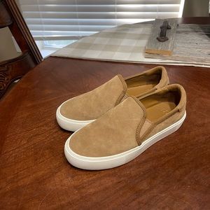 UGG CAHLVAN Sneaker Platform Slip On Suede